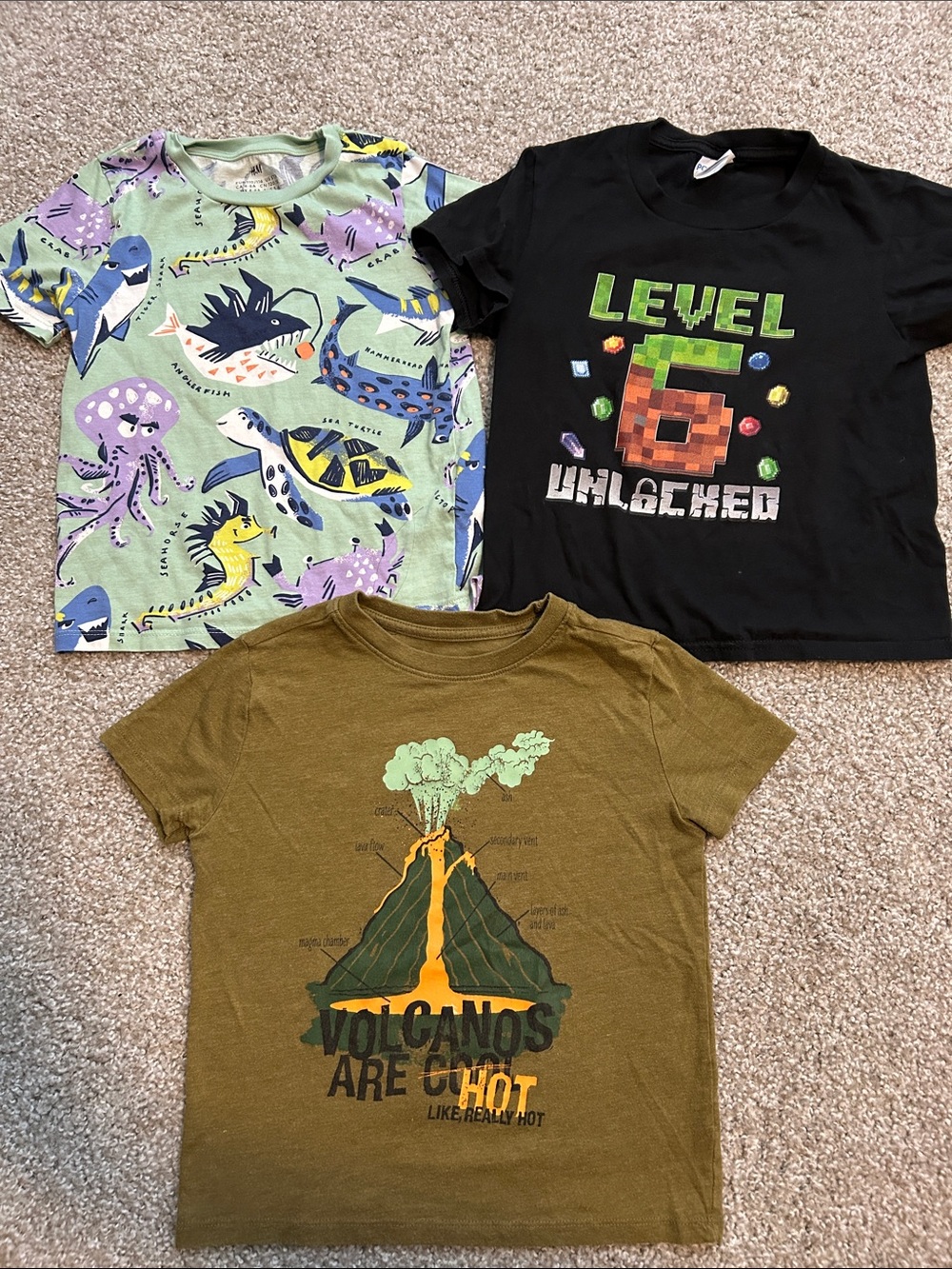 Bundle of 3 shirt (boys) 5/6
